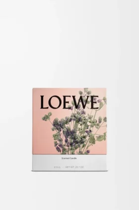 Middelgrote Oregano-kaars