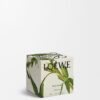 Midi Black Sesame Candle Midi Black Sesame Candle