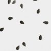 Midi Black Sesame Candle Midi Black Sesame Candle