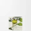 Midi Earl Grey geurkaars Midi Earl Grey geurkaars