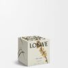 Midi Sweet Almond Candle Midi Sweet Almond Candle