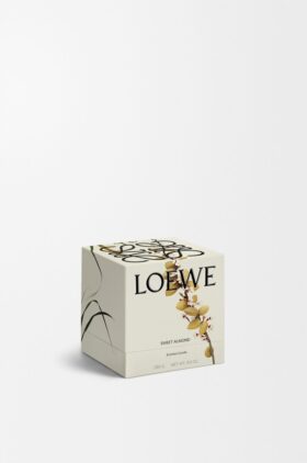 Midi Sweet Almond Candle Midi Sweet Almond Candle