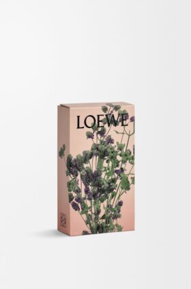 Oregano-roomspray Oregano-roomspray