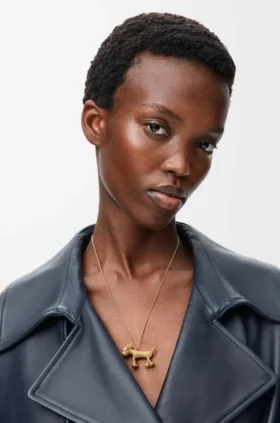 Teckel-ketting
