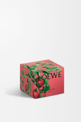 Tomatenbladeren bodyscrub