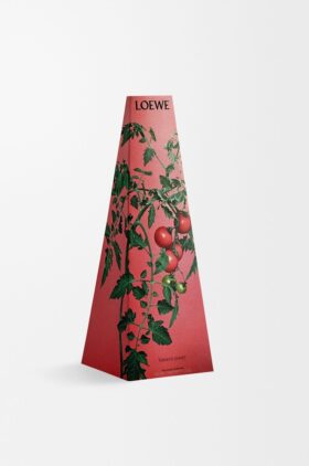 Tomatenbladeren waskaarsenhouder