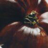 Tomatenbladeren waskaarsenhouder Tomatenbladeren waskaarsenhouder