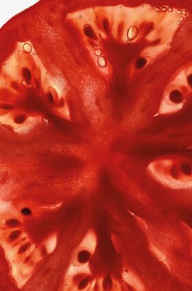 Handreiniger met Tomatenbladeren